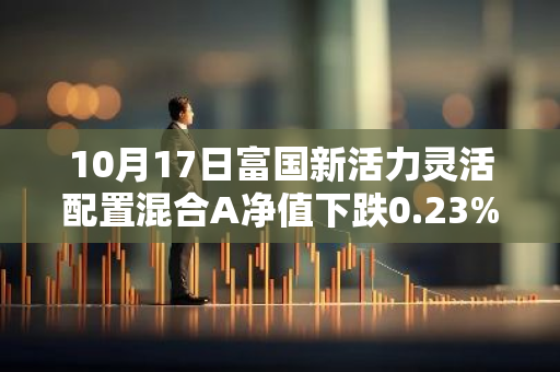 10月17日富国新活力灵活配置混合A净值下跌0.23%，近6个月累计上涨4.56%