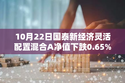 10月22日国泰新经济灵活配置混合A净值下跌0.65%，近3个月累计上涨17.33%