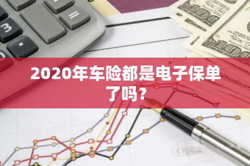 2020年车险都是电子保单了吗？