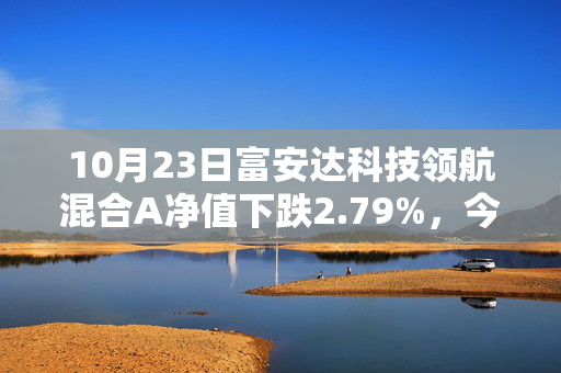 10月23日富安达科技领航混合A净值下跌2.79%，今年来累计上涨14.58%