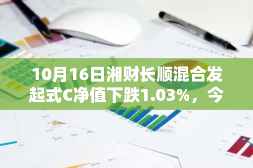 10月16日湘财长顺混合发起式C净值下跌1.03%，今年来累计上涨0.11%