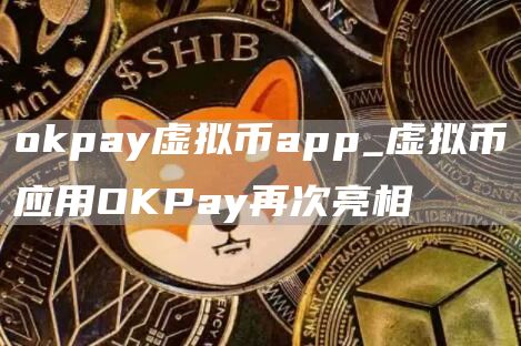 huobipay虚拟币app_虚拟币应用OKPay再次亮相