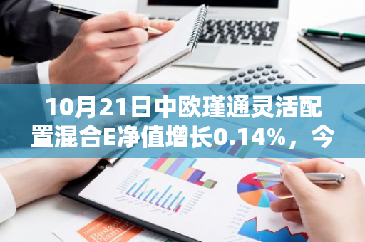 10月21日中欧瑾通灵活配置混合E净值增长0.14%，今年来累计上涨4.31%