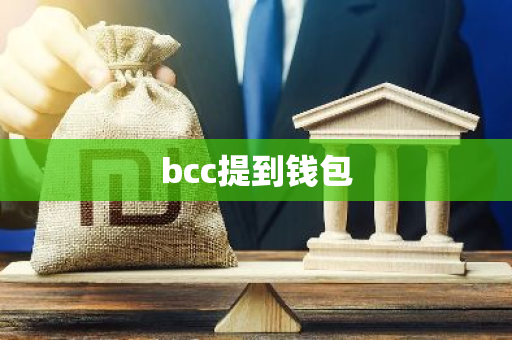 bcc提到钱包