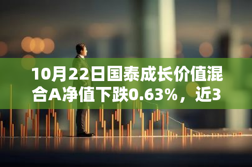 10月22日国泰成长价值混合A净值下跌0.63%，近3个月累计上涨17.33%