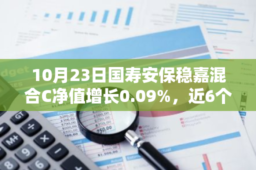 10月23日国寿安保稳嘉混合C净值增长0.09%，近6个月累计上涨7.94%