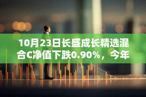 10月23日长盛成长精选混合C净值下跌0.90%，今年来累计上涨4.78%