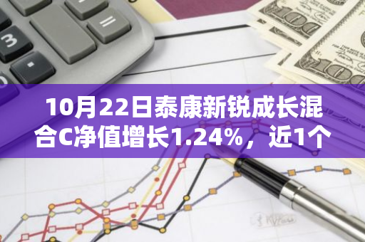 10月22日泰康新锐成长混合C净值增长1.24%，近1个月累计上涨35.59%