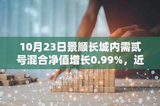 10月23日景顺长城内需贰号混合净值增长0.99%，近1个月累计上涨25.42%