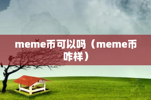 meme币可以吗（meme币咋样）