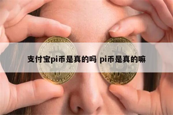 pi币是真的吗 pi币有人投资吗