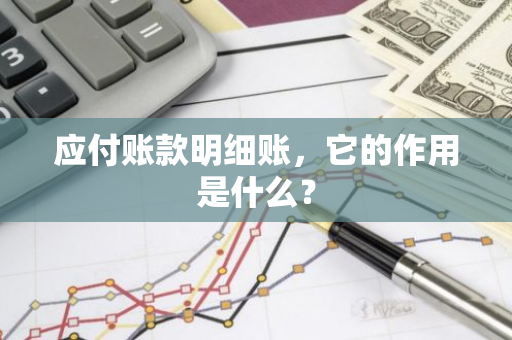 应付账款明细账，它的作用是什么？