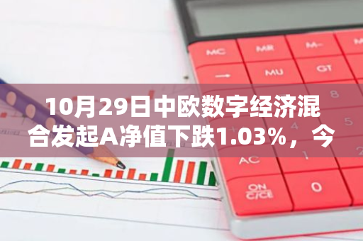 10月29日中欧数字经济混合发起A净值下跌1.03%，今年来累计上涨13.24%