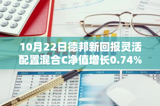 10月22日德邦新回报灵活配置混合C净值增长0.74%，近1个月累计上涨22.76%