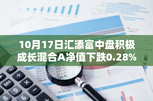 10月17日汇添富中盘积极成长混合A净值下跌0.28%，今年来累计下跌6.13%