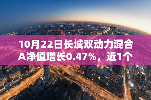 10月22日长城双动力混合A净值增长0.47%，近1个月累计上涨22.75%