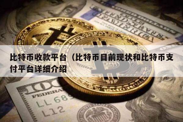 比特币收款平台（比特币目前现状和比特币支付平台详细介绍