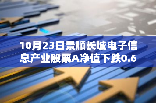 10月23日景顺长城电子信息产业股票A净值下跌0.63%，今年来累计上涨0.68%