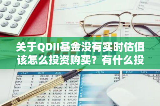 关于QDII基金没有实时估值该怎么投资购买？有什么投资建议？