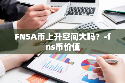 FNSA币上升空间大吗？-fns币价值