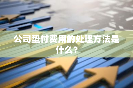 公司垫付费用的处理方法是什么？