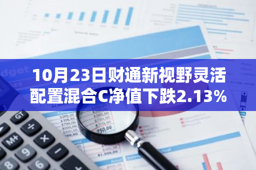 10月23日财通新视野灵活配置混合C净值下跌2.13%，今年来累计上涨1.57%