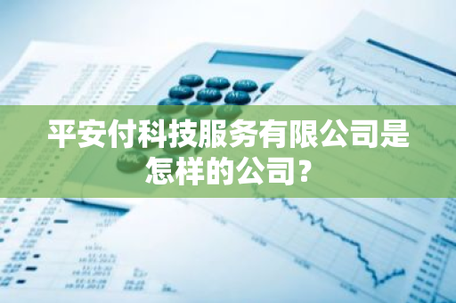 平安付科技服务有限公司是怎样的公司？