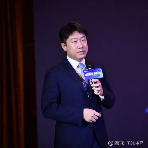 tcl中环属于什么板块，tcl中环为什么跌那么厉害