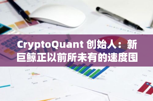 CryptoQuant 创始人：新巨鲸正以前所未有的速度囤积比特币