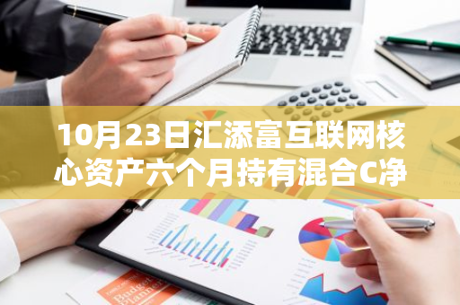 10月23日汇添富互联网核心资产六个月持有混合C净值下跌0.95%，近3个月累计上涨13.54%