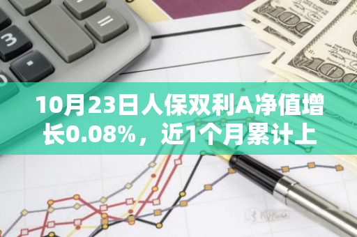 10月23日人保双利A净值增长0.08%，近1个月累计上涨5.65%