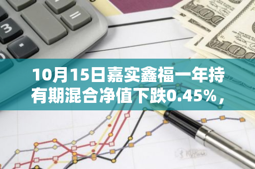 10月15日嘉实鑫福一年持有期混合净值下跌0.45%，今年来累计下跌2.65%