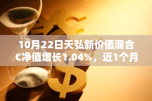 10月22日天弘新价值混合C净值增长1.04%，近1个月累计上涨22.83%