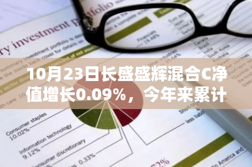 10月23日长盛盛辉混合C净值增长0.09%，今年来累计上涨7.84%