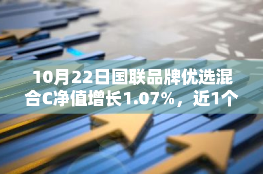 10月22日国联品牌优选混合C净值增长1.07%，近1个月累计上涨17.53%