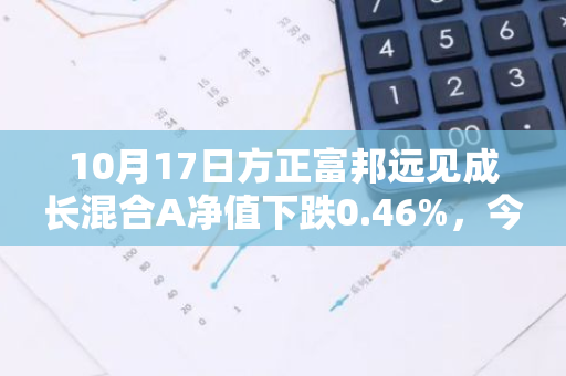 10月17日方正富邦远见成长混合A净值下跌0.46%，今年来累计下跌6.87%