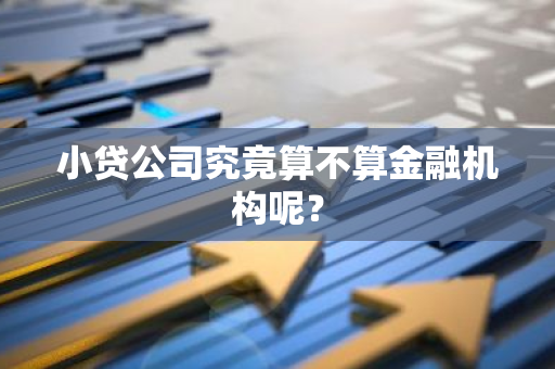 小贷公司究竟算不算金融机构呢？