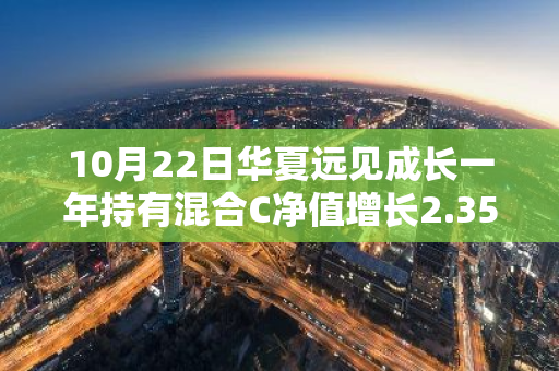 10月22日华夏远见成长一年持有混合C净值增长2.35%，近1个月累计上涨40.0%