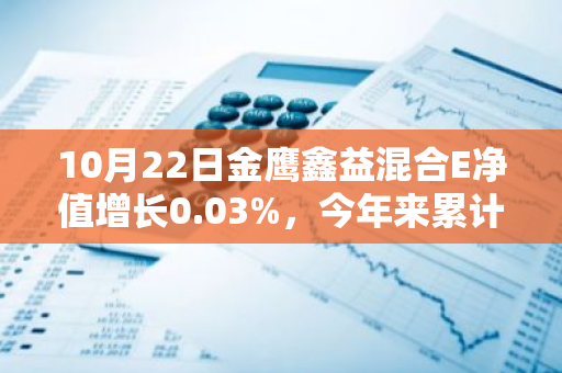 10月22日金鹰鑫益混合E净值增长0.03%，今年来累计上涨2.85%