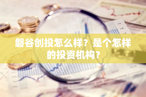 磐谷创投怎么样？是个怎样的投资机构？