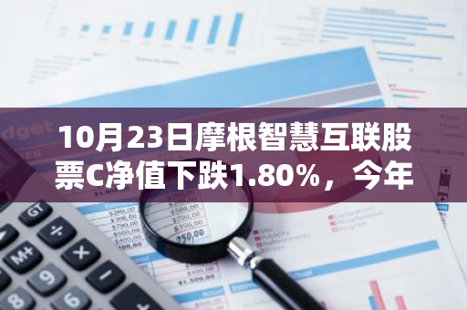 10月23日摩根智慧互联股票C净值下跌1.80%，今年来累计上涨17.29%