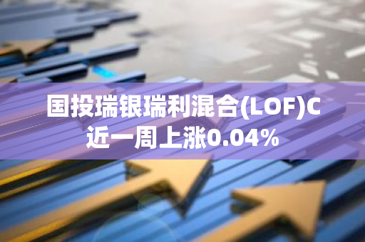 国投瑞银瑞利混合(LOF)C近一周上涨0.04%