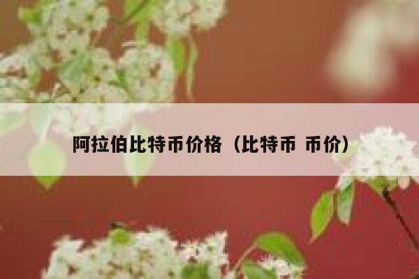 阿拉伯比特币价格（比特币 币价）