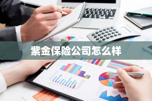 紫金保险公司怎么样