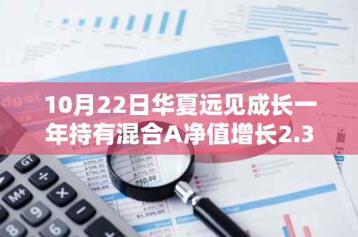 10月22日华夏远见成长一年持有混合A净值增长2.35%，近1个月累计上涨40.09%