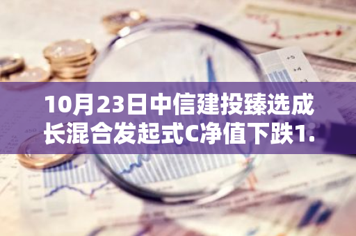 10月23日中信建投臻选成长混合发起式C净值下跌1.05%，今年来累计上涨8.78%