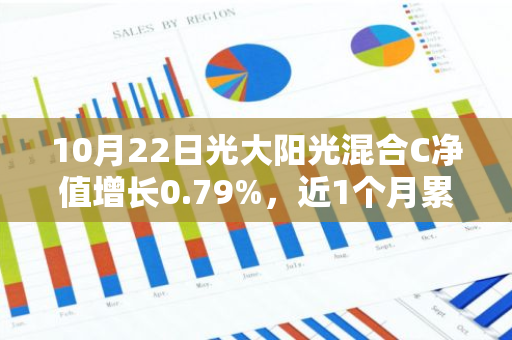 10月22日光大阳光混合C净值增长0.79%，近1个月累计上涨13.11%