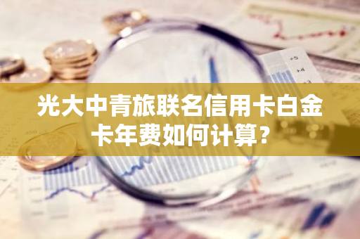 光大中青旅联名信用卡白金卡年费如何计算？