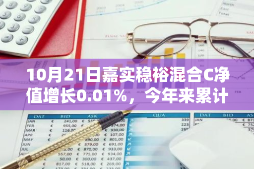 10月21日嘉实稳裕混合C净值增长0.01%，今年来累计上涨6.41%