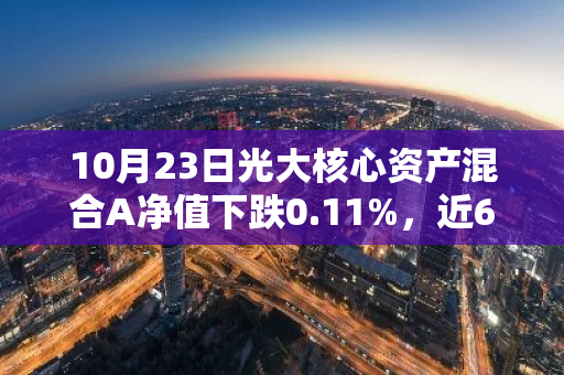 10月23日光大核心资产混合A净值下跌0.11%，近6个月累计上涨5.6%